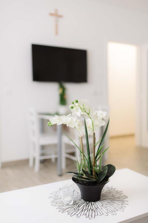 Ruza Apartmani ซาดาร์ ภายนอก รูปภาพ